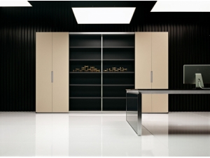 armoire de bureau  mtal  rideaux TIC 1 :: armoire de bureau  de prestige  AM 2