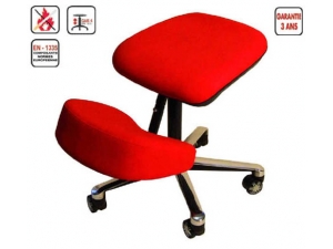 si�ge assis debout,  assis � genoux : 
 si�ge assis � genoux vert�bral Bl  bien-�tre et ergonomie au travail assise inclin�e anatomique  ajustable en profondeur   support genoux/tibias articul�  sur suspension sp�cifique r�glable en hauteur ind�pendamment de l'assise  rev�tement  tissu non feu M1 noir ou gris chin� autres rev�tements et coloris : nous consulter hauteurs : H1 : assise 450/580mm  H2 : assise 510/700mm PU HT : 229 euros d�lais courts fiche technique compl�te sur demande info@rdbureau.com    
