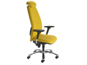 si�ge pour handicap  l�ger :: fauteuil newport HK