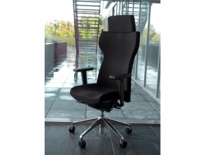 SIEGE DE DIRECTION :: fauteuil de direction ergonomique DDA