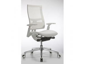 SIEGE DE DIRECTION :: si�ge direction blanc r�sille UF