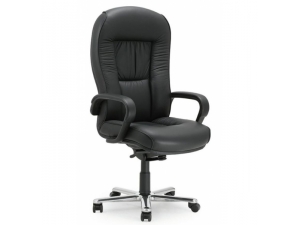 fauteuil de prestige DOGE  EL