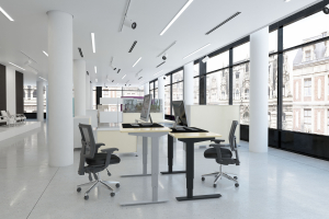 Bureau Rglable en Hauteur lgance : Confort et Style pour Votre Espace de Travail :: Poste de Travail Ergonomique Rglable en Hauteur : Confort et Efficacit au Quotidien