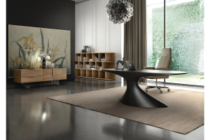 Bureau direction de prestige - LED